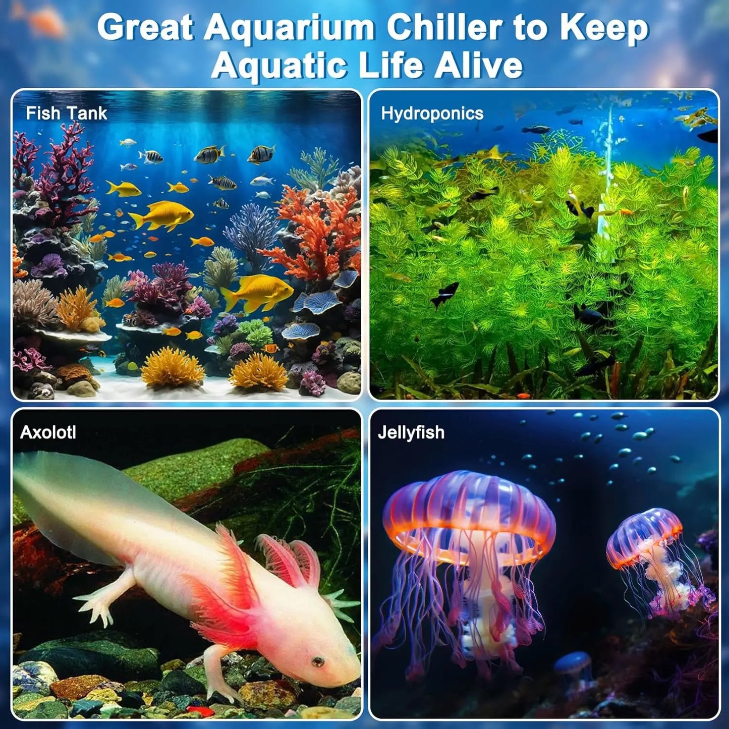 SHICUO Aquarium Chiller For Fish Tanks And Hydroponics With Remote