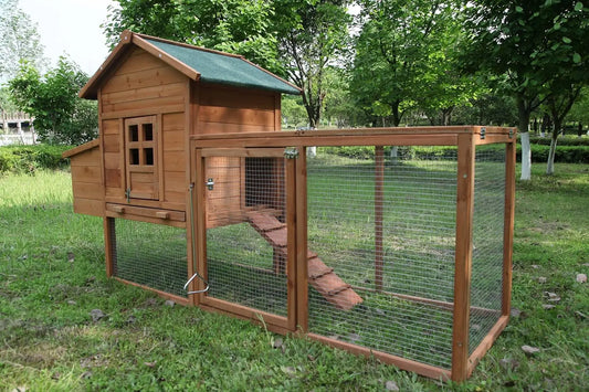 Outdoor Chicken Coop For 2 To 4 Chickens Wooden Hen House With Ramp