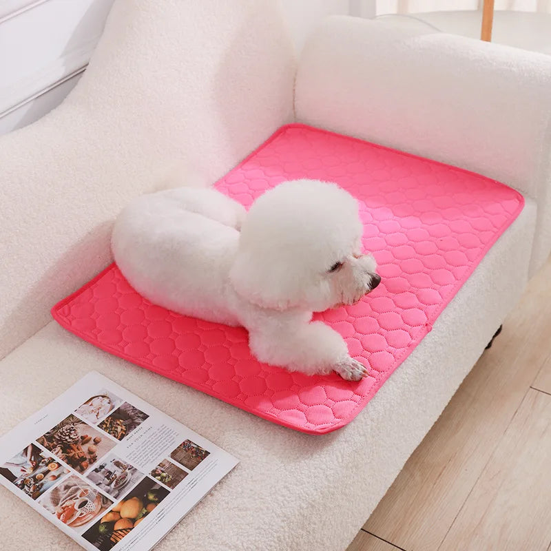 Washable Dog Pee Pad Mat Reusable Absorbent Training Diaper Pad