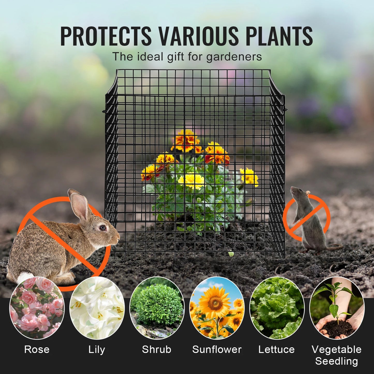 SucceBuy Plant Protector Cage Keeps Rabbits Squirrels Out