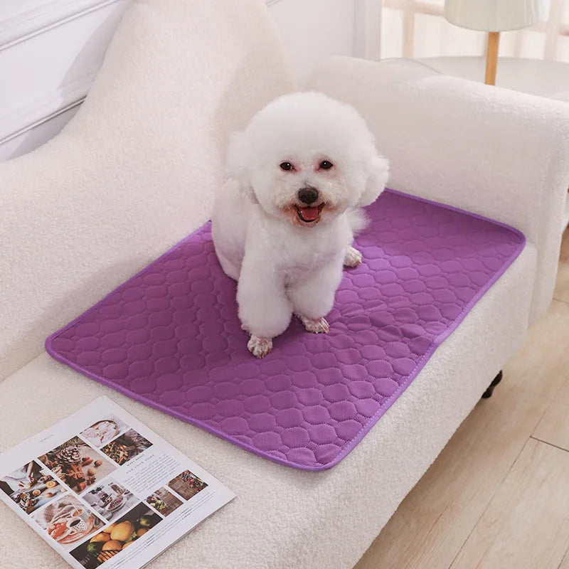 Washable Dog Pee Pad Mat Reusable Absorbent Training Diaper Pad