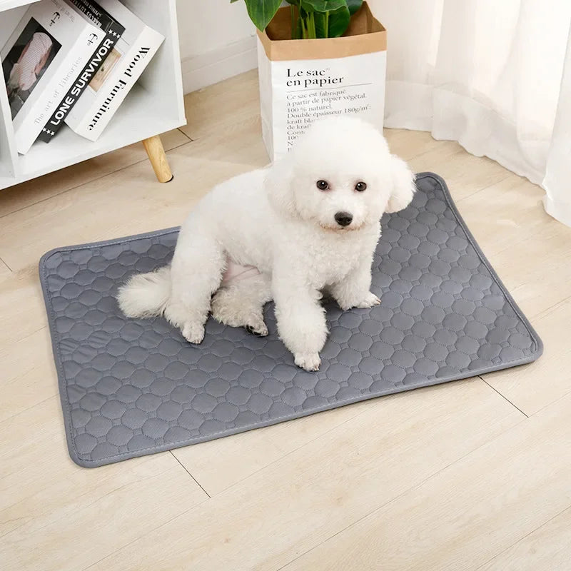 Washable Dog Pee Pad Mat Reusable Absorbent Training Diaper Pad