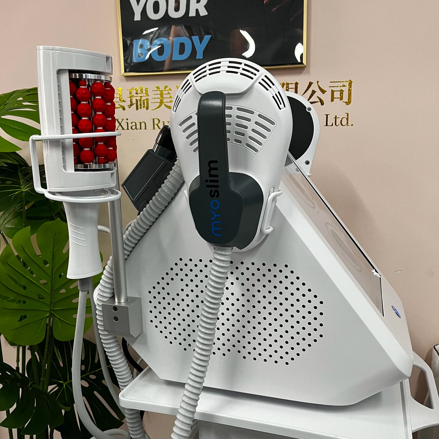 360 Degree Vacuum Massage Machine Inner Ball Roller for Cellulite Weight Loss Body Slimming Fat Removal - 360 Degree Rolling Mus